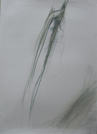 A Shadow (Broken Hair)
